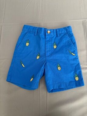 Vineyard Vines Blue Pineapple Embroidered Boys Preppy Shorts Sz 5